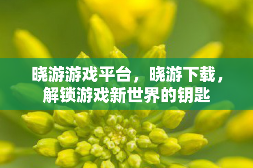 晓游游戏平台,晓游下载,解锁游戏新世界的钥匙 晓游游戏平台,晓游下载,解锁游戏新世界的钥匙
