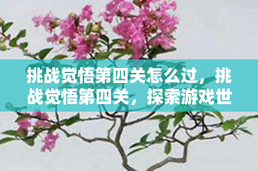 挑战觉悟第四关怎么过,挑战觉悟第四关,探索游戏世界的深层意义 挑战觉悟第四关怎么过,挑战觉悟第四关,探索游戏世界的深层意义