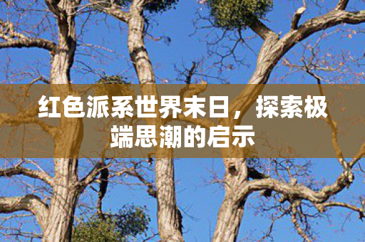 红色派系世界末日,探索极端思潮的启示 红色派系世界末日,探索极端思潮的启示