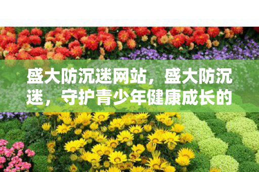 盛大防沉迷网站，盛大防沉迷，守护青少年健康成长的防线