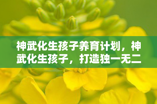 神武化生孩子养育计划,神武化生孩子,打造独一无二的角色体验 神武化生孩子养育计划,神武化生孩子,打造独一无二的角色体验
