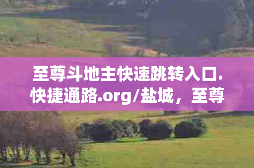 至尊斗地主快速跳转入口.快捷通路.org/盐城,至尊斗地主,策略与智慧的博弈 至尊斗地主快速跳转入口.快捷通路.org/盐城,至尊斗地主,策略与智慧的博弈