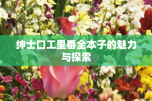 绅士口工里番全本子的魅力与探索 绅士口工里番全本子的魅力与探索
