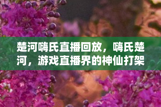 楚河嗨氏直播回放,嗨氏楚河,游戏直播界的神仙打架 楚河嗨氏直播回放,嗨氏楚河,游戏直播界的神仙打架