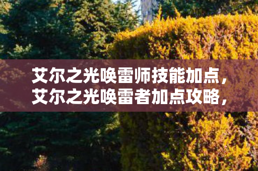 艾尔之光唤雷师技能加点,艾尔之光唤雷者加点攻略,打造高效雷电掌控者 艾尔之光唤雷师技能加点,艾尔之光唤雷者加点攻略,打造高效雷电掌控者