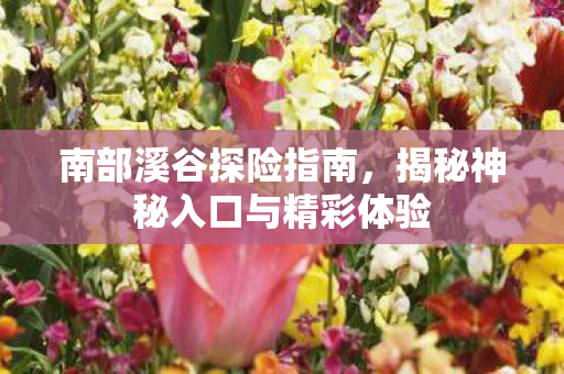 南部溪谷探险指南,揭秘神秘入口与精彩体验 南部溪谷探险指南,揭秘神秘入口与精彩体验