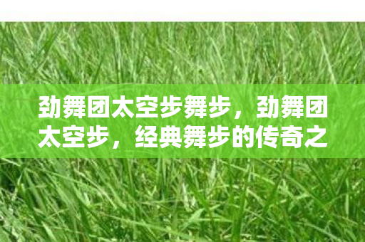 劲舞团太空步舞步,劲舞团太空步,经典舞步的传奇之旅 劲舞团太空步舞步,劲舞团太空步,经典舞步的传奇之旅