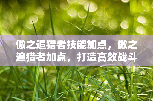 傲之追猎者技能加点，傲之追猎者加点，打造高效战斗力的关键