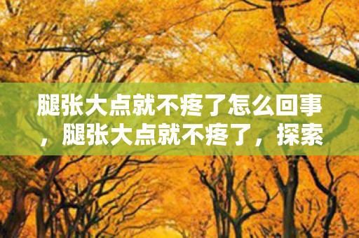 腿张大点就不疼了怎么回事,腿张大点就不疼了,探索游戏乐趣的边界与平衡 腿张大点就不疼了怎么回事,腿张大点就不疼了,探索游戏乐趣的边界与平衡
