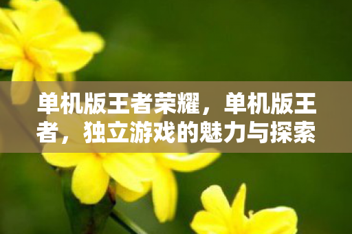 单机版王者荣耀，单机版王者，独立游戏的魅力与探索