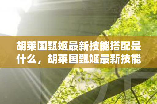 胡莱国甄姬最新技能搭配是什么,胡莱国甄姬最新技能搭配 胡莱国甄姬最新技能搭配是什么,胡莱国甄姬最新技能搭配