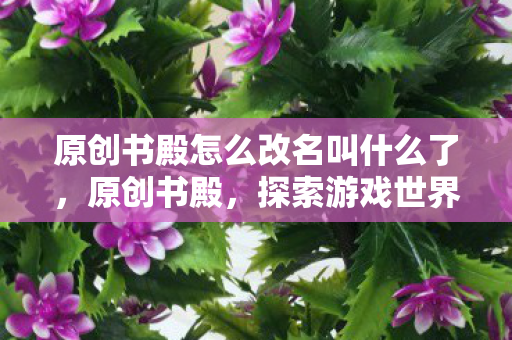 原创书殿怎么改名叫什么了,原创书殿,探索游戏世界的多元体验与社区互动 原创书殿怎么改名叫什么了,原创书殿,探索游戏世界的多元体验与社区互动