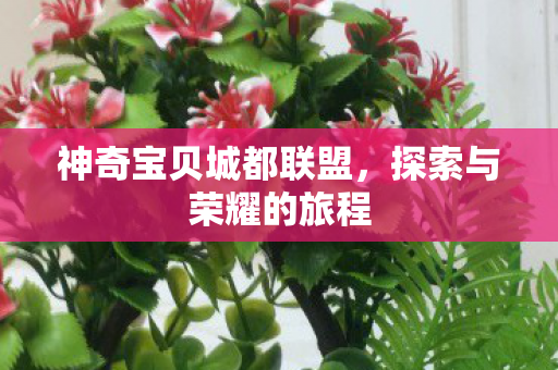 神奇宝贝城都联盟,探索与荣耀的旅程 神奇宝贝城都联盟,探索与荣耀的旅程