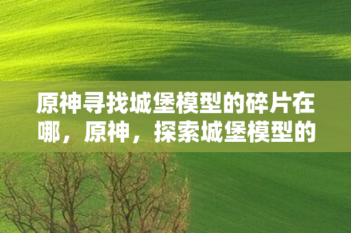 原神寻找城堡模型的碎片在哪,原神,探索城堡模型的碎片,解锁隐藏的故事与宝藏 原神寻找城堡模型的碎片在哪,原神,探索城堡模型的碎片,解锁隐藏的故事与宝藏