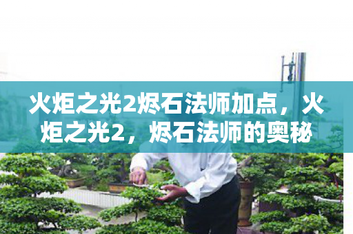 火炬之光2烬石法师加点,火炬之光2,烬石法师的奥秘与策略 火炬之光2烬石法师加点,火炬之光2,烬石法师的奥秘与策略