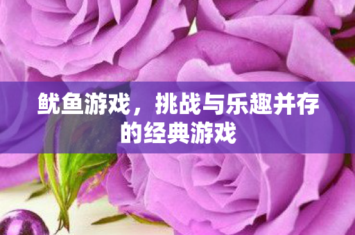 鱿鱼游戏,挑战与乐趣并存的经典游戏 鱿鱼游戏,挑战与乐趣并存的经典游戏