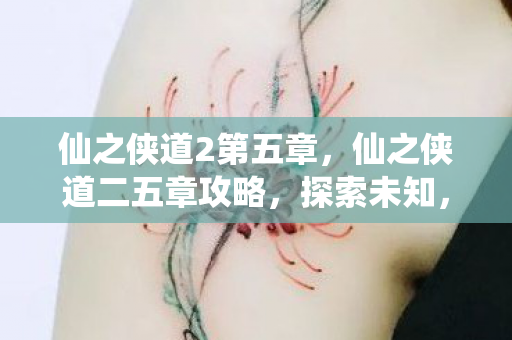 仙之侠道2第五章,仙之侠道二五章攻略,探索未知,挑战极限 仙之侠道2第五章,仙之侠道二五章攻略,探索未知,挑战极限