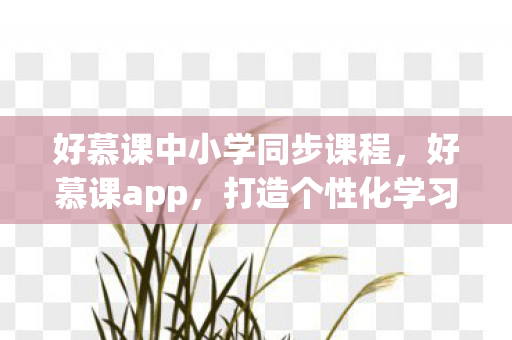 好慕课中小学同步课程,好慕课app,打造个性化学习新体验 好慕课中小学同步课程,好慕课app,打造个性化学习新体验