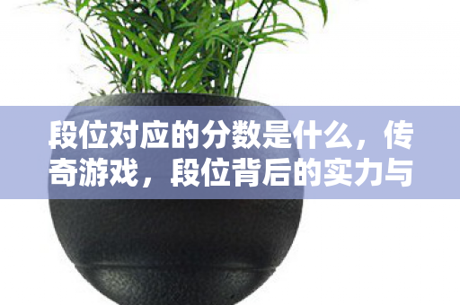 段位对应的分数是什么,传奇游戏,段位背后的实力与荣耀 段位对应的分数是什么,传奇游戏,段位背后的实力与荣耀