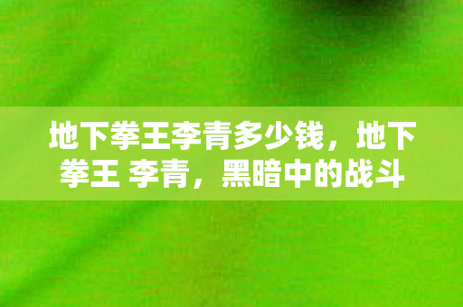 地下拳王李青多少钱,地下拳王 李青,黑暗中的战斗艺术 地下拳王李青多少钱,地下拳王 李青,黑暗中的战斗艺术