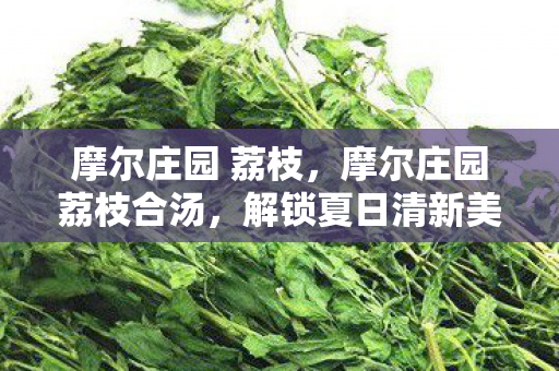 摩尔庄园 荔枝,摩尔庄园荔枝合汤,解锁夏日清新美味 摩尔庄园 荔枝,摩尔庄园荔枝合汤,解锁夏日清新美味