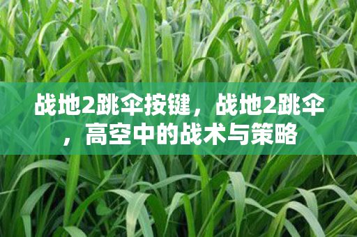 战地2跳伞按键,战地2跳伞,高空中的战术与策略 战地2跳伞按键,战地2跳伞,高空中的战术与策略