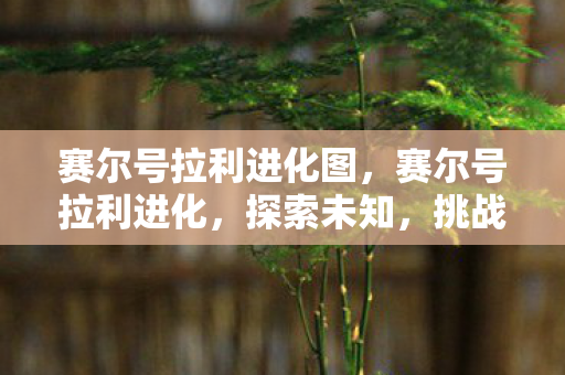 赛尔号拉利进化图,赛尔号拉利进化,探索未知,挑战极限 赛尔号拉利进化图,赛尔号拉利进化,探索未知,挑战极限