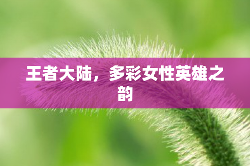 王者大陆,多彩女性英雄之韵 王者大陆,多彩女性英雄之韵