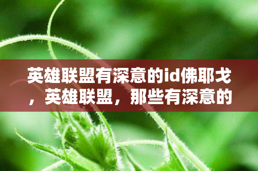 英雄联盟有深意的id佛耶戈，英雄联盟，那些有深意的ID背后故事