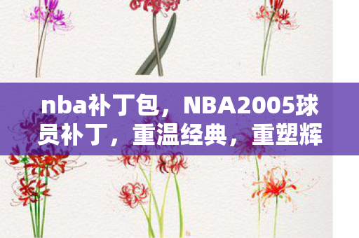 nba补丁包，NBA2005球员补丁，重温经典，重塑辉煌
