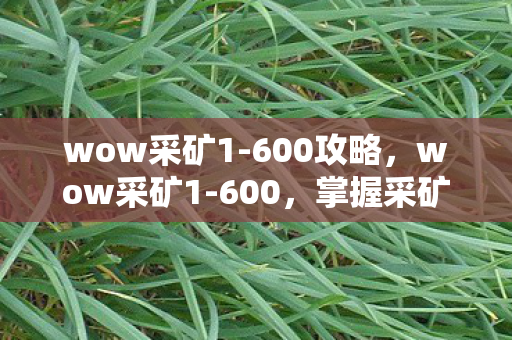 wow采矿1-600攻略,wow采矿1-600,掌握采矿技能,打造游戏财富 wow采矿1-600攻略,wow采矿1-600,掌握采矿技能,打造游戏财富