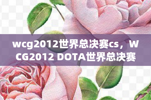 wcg2012世界总决赛cs，WCG2012 DOTA世界总决赛，传奇之战的幕后故事