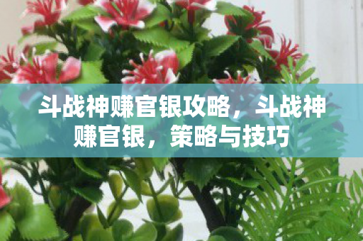 斗战神赚官银攻略,斗战神赚官银,策略与技巧 斗战神赚官银攻略,斗战神赚官银,策略与技巧