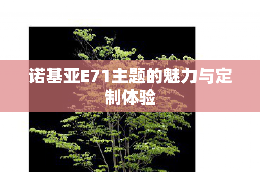 诺基亚E71主题的魅力与定制体验 诺基亚E71主题的魅力与定制体验