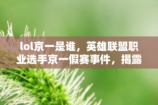 lol京一是谁,英雄联盟职业选手京一假赛事件,揭露电竞背后的灰色阴影 lol京一是谁,英雄联盟职业选手京一假赛事件,揭露电竞背后的灰色阴影