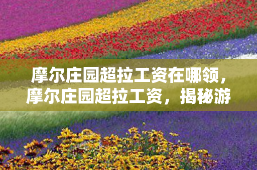 摩尔庄园超拉工资在哪领,摩尔庄园超拉工资,揭秘游戏内经济体系与玩家收益 摩尔庄园超拉工资在哪领,摩尔庄园超拉工资,揭秘游戏内经济体系与玩家收益