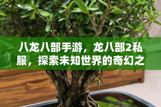 八龙八部手游,龙八部2私服,探索未知世界的奇幻之旅 八龙八部手游,龙八部2私服,探索未知世界的奇幻之旅