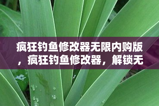疯狂钓鱼修改器无限内购版,疯狂钓鱼修改器,解锁无限可能的钓鱼之旅 疯狂钓鱼修改器无限内购版,疯狂钓鱼修改器,解锁无限可能的钓鱼之旅