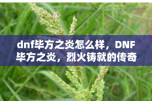 dnf毕方之炎怎么样,DNF毕方之炎,烈火铸就的传奇 dnf毕方之炎怎么样,DNF毕方之炎,烈火铸就的传奇