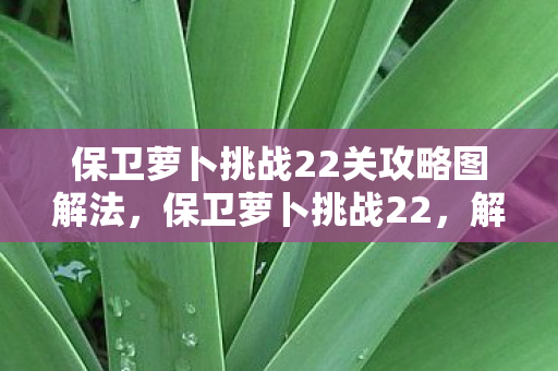保卫萝卜挑战22关攻略图解法,保卫萝卜挑战22,解锁新关卡,挑战你的策略极限 保卫萝卜挑战22关攻略图解法,保卫萝卜挑战22,解锁新关卡,挑战你的策略极限