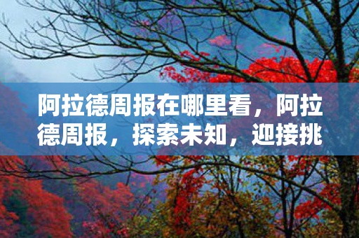 阿拉德周报在哪里看,阿拉德周报,探索未知,迎接挑战 阿拉德周报在哪里看,阿拉德周报,探索未知,迎接挑战