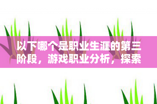 以下哪个是职业生涯的第三阶段,游戏职业分析,探索游戏职业背后的深度与魅力 以下哪个是职业生涯的第三阶段,游戏职业分析,探索游戏职业背后的深度与魅力