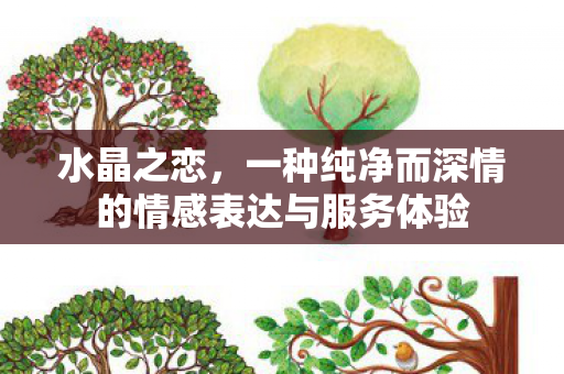 水晶之恋,一种纯净而深情的情感表达与服务体验 水晶之恋,一种纯净而深情的情感表达与服务体验
