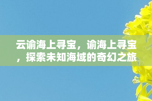 云谕海上寻宝，谕海上寻宝，探索未知海域的奇幻之旅
