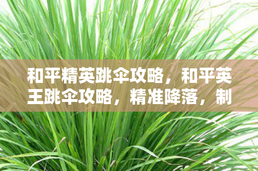 和平精英跳伞攻略,和平英王跳伞攻略,精准降落,制胜先机 和平精英跳伞攻略,和平英王跳伞攻略,精准降落,制胜先机