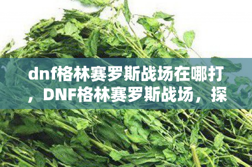dnf格林赛罗斯战场在哪打,DNF格林赛罗斯战场,探索未知的挑战之地 dnf格林赛罗斯战场在哪打,DNF格林赛罗斯战场,探索未知的挑战之地