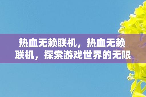 热血无赖联机,热血无赖 联机,探索游戏世界的无限可能 热血无赖联机,热血无赖 联机,探索游戏世界的无限可能