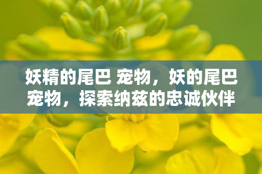 妖精的尾巴 宠物,妖的尾巴宠物,探索纳兹的忠诚伙伴,共赴奇幻之旅 妖精的尾巴 宠物,妖的尾巴宠物,探索纳兹的忠诚伙伴,共赴奇幻之旅