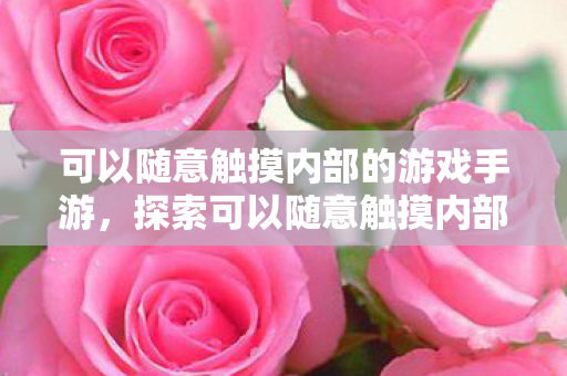 可以随意触摸内部的游戏手游,探索可以随意触摸内部的游戏手游的奇妙世界 可以随意触摸内部的游戏手游,探索可以随意触摸内部的游戏手游的奇妙世界