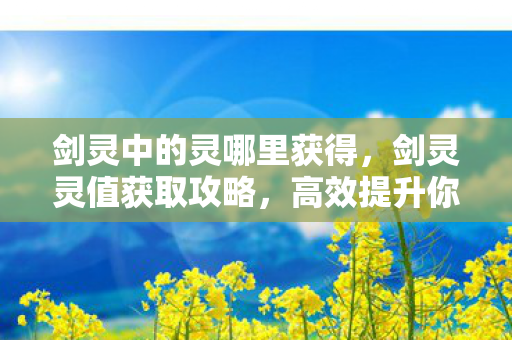 剑灵中的灵哪里获得,剑灵灵值获取攻略,高效提升你的游戏实力 剑灵中的灵哪里获得,剑灵灵值获取攻略,高效提升你的游戏实力
